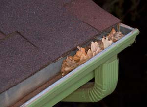 Grays Harbor County Roofing Contractor - Gutter Cleaning